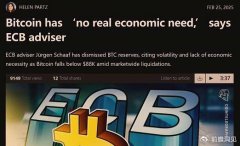 BTC在发展中国家的真实需求