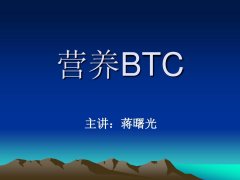 比特矿业（BTCMUS）5月20日收盘报204美元股涨099%