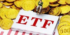 同类规模最大的自由现金