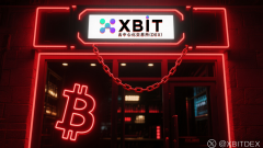 最新！163家上市公司豪购95万枚BTC交易平台XBIT成