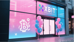 全球比特币持有最新格局 BTC爆仓信息XBIT加密资产
