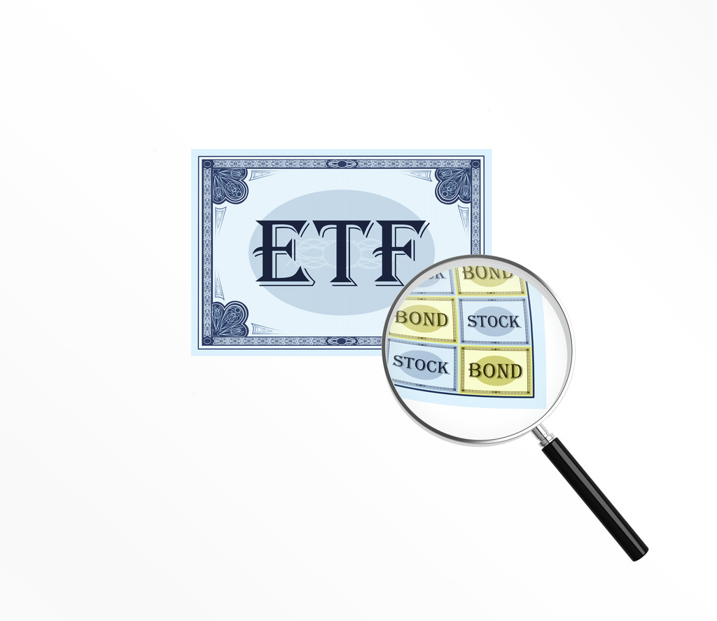 股东追踪南方中证1000ETF新进金螳螂前十大流通股东