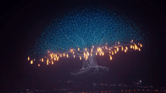 113 BTC日内关注11区域整体表现区间震荡