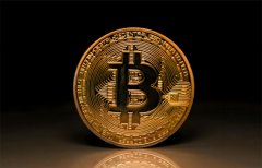 BTC 在文本中的含义是什么？一文介绍